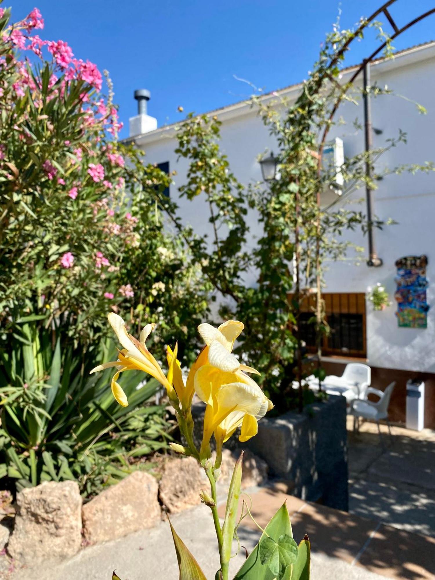 Alojamiento Rural Mar De Olivos Кастриль Экстерьер фото
